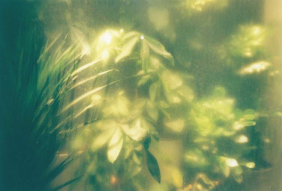 Accumulations of Transitions