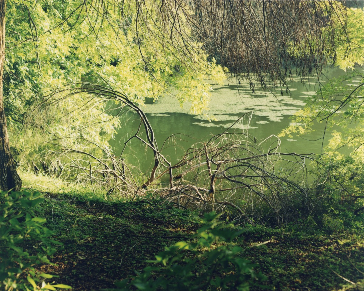 Pilgrimage of water